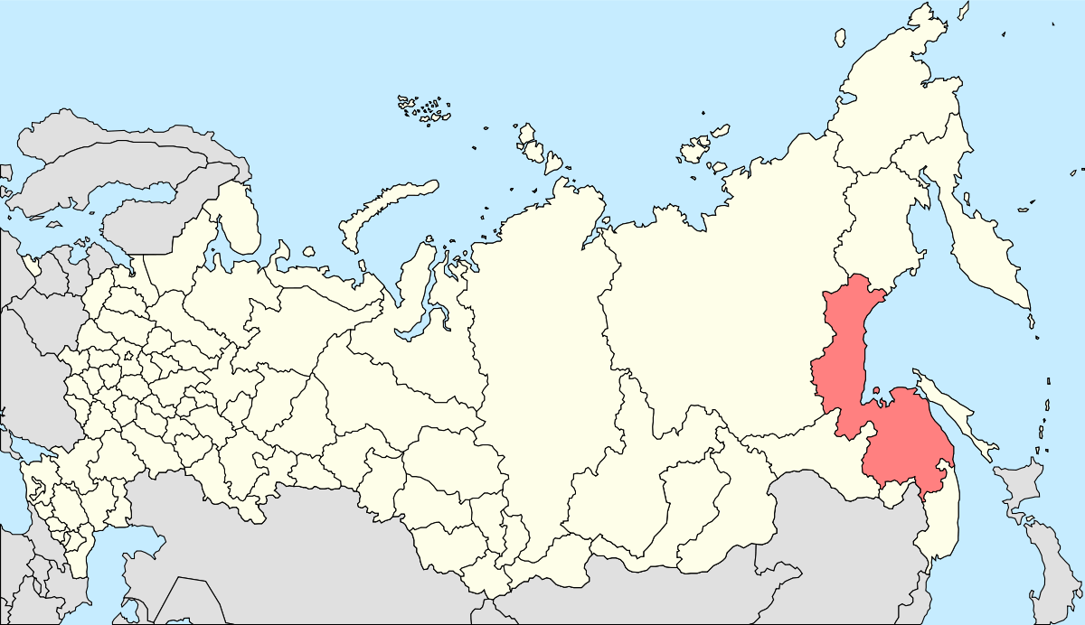 Deputy Defence Minister General of the Army of Russia, Dmitry Bulgakov has arrived in Khabarovsk Krai near North Korea to inspect troops